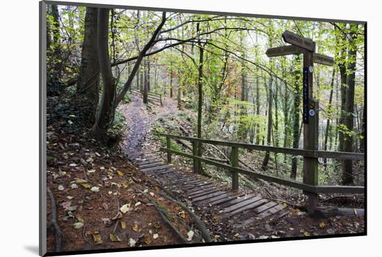 Footpath Sign at Milners Fork in Nidd Gorge Woods Near Bilton-Mark Sunderland-Mounted Photographic Print