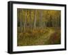 Footpath Through Autumn Aspen Trees, San Isabel National Forest, Colorado, USA-Adam Jones-Framed Photographic Print