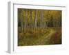 Footpath Through Autumn Aspen Trees, San Isabel National Forest, Colorado, USA-Adam Jones-Framed Photographic Print