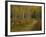 Footpath Through Autumn Aspen Trees, San Isabel National Forest, Colorado, USA-Adam Jones-Framed Photographic Print