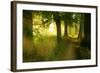 Footpath Through Avenue in the Morning Light, Flower Ground, Burgenlandkreis-Andreas Vitting-Framed Photographic Print