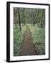 Footpath Through Blue-Eyed Mary Flowers, Raven Run Nature Sanctuary, Kentucky, USA-Adam Jones-Framed Photographic Print