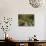 Footpath Through Forest To Newdegate Cave, Hastings Caves State Reserve, Tasmania, Australia-David Wall-Photographic Print displayed on a wall