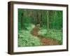 Footpath through Fringed Phacelia Flowers, Great Smoky Mountains National Park, Tennessee, USA-Adam Jones-Framed Premium Photographic Print