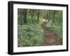 Footpath through Fringed Phacelia Flowers, Great Smoky Mountains National Park, Tennessee, USA-Adam Jones-Framed Photographic Print