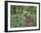 Footpath through Fringed Phacelia Flowers, Great Smoky Mountains National Park, Tennessee, USA-Adam Jones-Framed Photographic Print