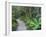 Footpath Through Temperate Rainforest, Nelson River, Tasmania, Australia, Pacific-Jochen Schlenker-Framed Photographic Print