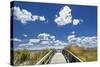 Footpath through the Dunes at Atlantic City.-Jon Hicks-Stretched Canvas