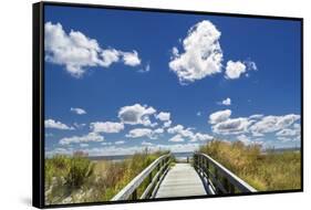 Footpath through the Dunes at Atlantic City.-Jon Hicks-Framed Stretched Canvas