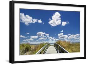 Footpath through the Dunes at Atlantic City.-Jon Hicks-Framed Photographic Print