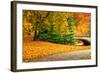 Footpath with Bridge in Central Park, Manhattan, New York City,-Sabine Jacobs-Framed Photographic Print