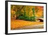 Footpath with Bridge in Central Park, Manhattan, New York City,-Sabine Jacobs-Framed Photographic Print