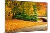 Footpath with Bridge in Central Park, Manhattan, New York City,-Sabine Jacobs-Mounted Photographic Print
