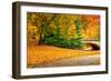 Footpath with Bridge in Central Park, Manhattan, New York City,-Sabine Jacobs-Framed Photographic Print