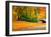 Footpath with Bridge in Central Park, Manhattan, New York City,-Sabine Jacobs-Framed Photographic Print