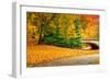 Footpath with Bridge in Central Park, Manhattan, New York City,-Sabine Jacobs-Framed Photographic Print