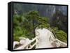 Footpath, Xihai (West Sea) Valley, Mount Huangshan (Yellow Mountain), Anhui Province-Jochen Schlenker-Framed Stretched Canvas