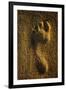 Footprint In Sand-Brad Lewis-Framed Photographic Print