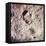 Footprint Left by Astronaut on Lunar Soil During Apollo 11 Lunar Mission in Walk on Moon's Surface-null-Framed Stretched Canvas