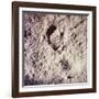 Footprint Left by Astronaut on Lunar Soil During Apollo 11 Lunar Mission in Walk on Moon's Surface-null-Framed Photographic Print