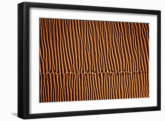 Footprint3-Mohammadreza Momeni-Framed Photographic Print