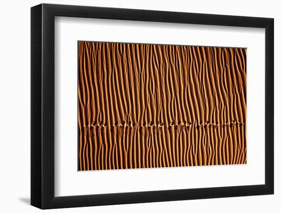 Footprint3-Mohammadreza Momeni-Framed Premium Photographic Print