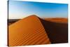 Footprints along the ridge of a sand dune at sunset. Wahiba Sands, Arabian Peninsula, Oman.-Sergio Pitamitz-Stretched Canvas