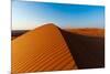 Footprints along the ridge of a sand dune at sunset. Wahiba Sands, Arabian Peninsula, Oman.-Sergio Pitamitz-Mounted Photographic Print