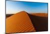 Footprints along the ridge of a sand dune at sunset. Wahiba Sands, Arabian Peninsula, Oman.-Sergio Pitamitz-Mounted Photographic Print