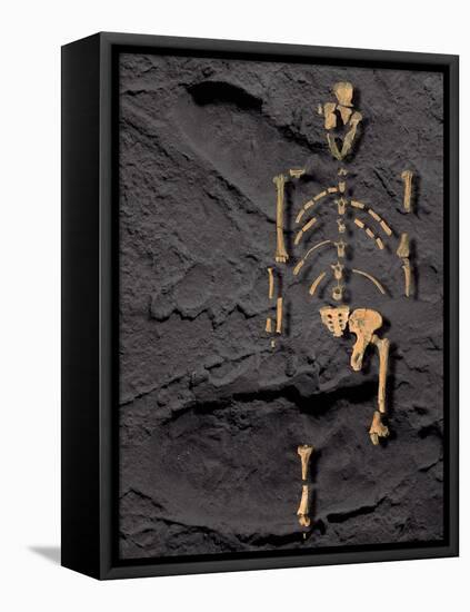 Footprints And Skeleton of Lucy-Javier Trueba-Framed Stretched Canvas