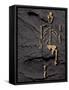 Footprints And Skeleton of Lucy-Javier Trueba-Framed Stretched Canvas