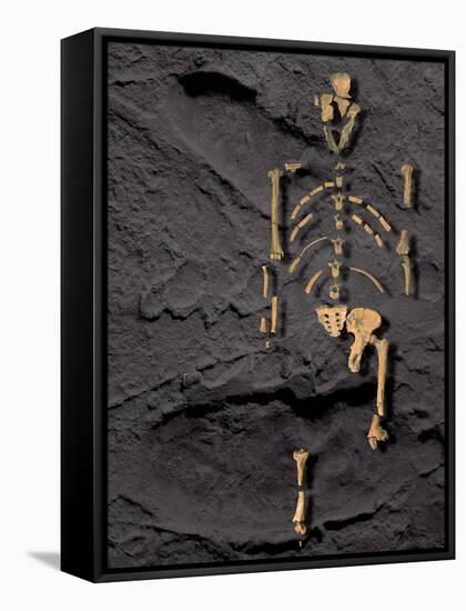 Footprints And Skeleton of Lucy-Javier Trueba-Framed Stretched Canvas