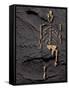 Footprints And Skeleton of Lucy-Javier Trueba-Framed Stretched Canvas