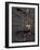 Footprints And Skeleton of Lucy-Javier Trueba-Framed Photographic Print