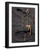 Footprints And Skeleton of Lucy-Javier Trueba-Framed Photographic Print