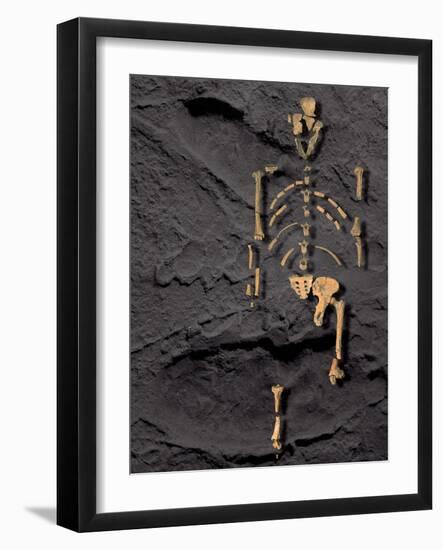 Footprints And Skeleton of Lucy-Javier Trueba-Framed Photographic Print