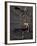 Footprints And Skeleton of Lucy-Javier Trueba-Framed Photographic Print