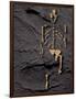 Footprints And Skeleton of Lucy-Javier Trueba-Framed Photographic Print