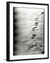 Footprints in a Sandy Beach-RedHeadPictures-Framed Photographic Print