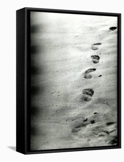 Footprints in a Sandy Beach-RedHeadPictures-Framed Stretched Canvas