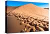 Footprints in Desert in Coral Pink Sand Dunes State Park,Utah-lorcel-Stretched Canvas