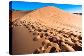 Footprints in Desert in Coral Pink Sand Dunes State Park,Utah-lorcel-Stretched Canvas