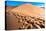 Footprints in Desert in Coral Pink Sand Dunes State Park,Utah-lorcel-Stretched Canvas