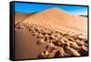 Footprints in Desert in Coral Pink Sand Dunes State Park,Utah-lorcel-Framed Stretched Canvas