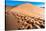 Footprints in Desert in Coral Pink Sand Dunes State Park,Utah-lorcel-Stretched Canvas