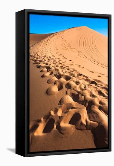 Footprints in Desert in Coral Pink Sand Dunes State Park,Utah-lorcel-Framed Stretched Canvas