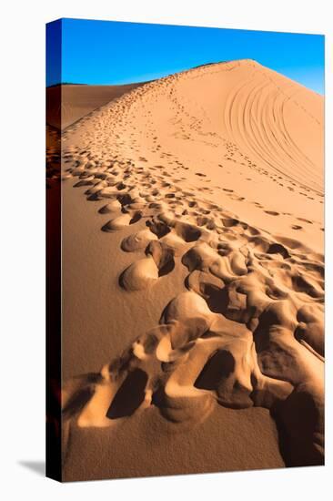 Footprints in Desert in Coral Pink Sand Dunes State Park,Utah-lorcel-Stretched Canvas