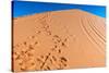 Footprints in Desert in Coral Pink Sand Dunes State Park,Utah-lorcel-Stretched Canvas