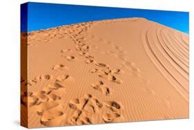 Footprints in Desert in Coral Pink Sand Dunes State Park,Utah-lorcel-Stretched Canvas