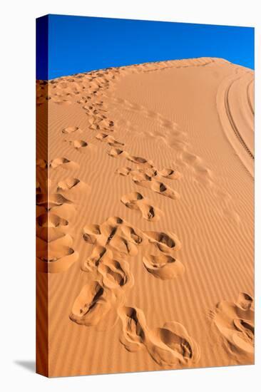 Footprints in Desert in Coral Pink Sand Dunes State Park,Utah-lorcel-Stretched Canvas